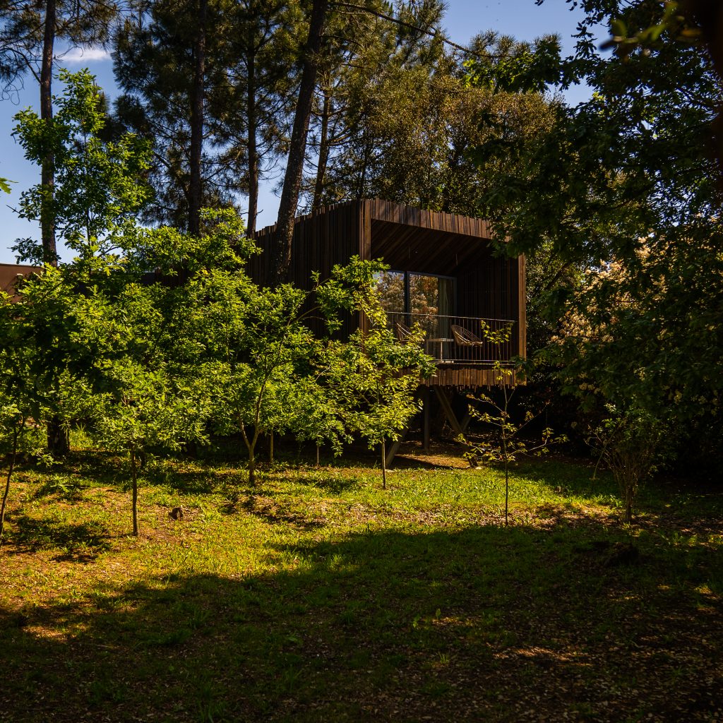 Fotografia casa do Sobreiro Exterior